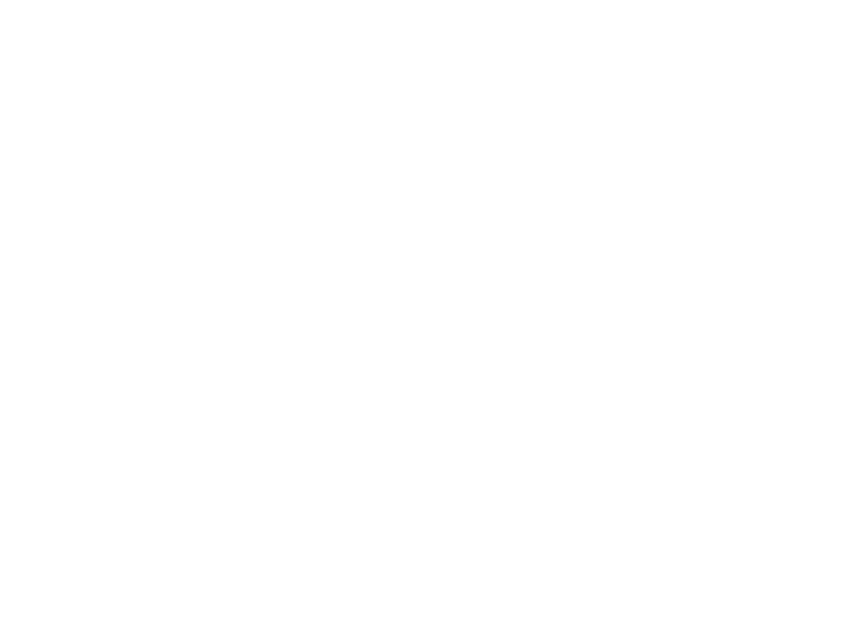 Essar Solutions